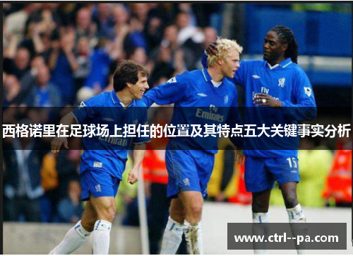 西格诺里在足球场上担任的位置及其特点五大关键事实分析