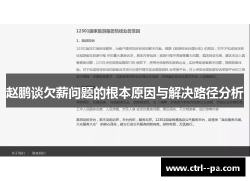 赵鹏谈欠薪问题的根本原因与解决路径分析