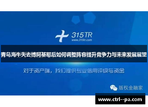 青岛海牛失去博阿基耶后如何调整阵容提升竞争力与未来发展展望 青岛海牛失去博阿基耶后如何调整阵容提升竞争力与未来发展展望