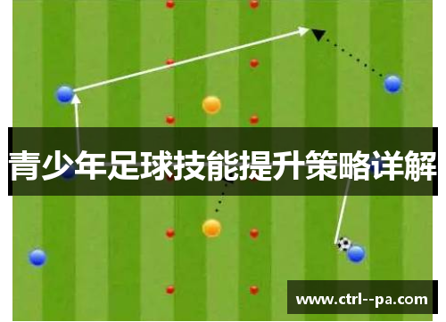 青少年足球技能提升策略详解 青少年足球技能提升策略详解