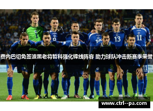 费内巴切免签波黑老将哲科强化锋线阵容 助力球队冲击新赛季荣誉 费内巴切免签波黑老将哲科强化锋线阵容 助力球队冲击新赛季荣誉